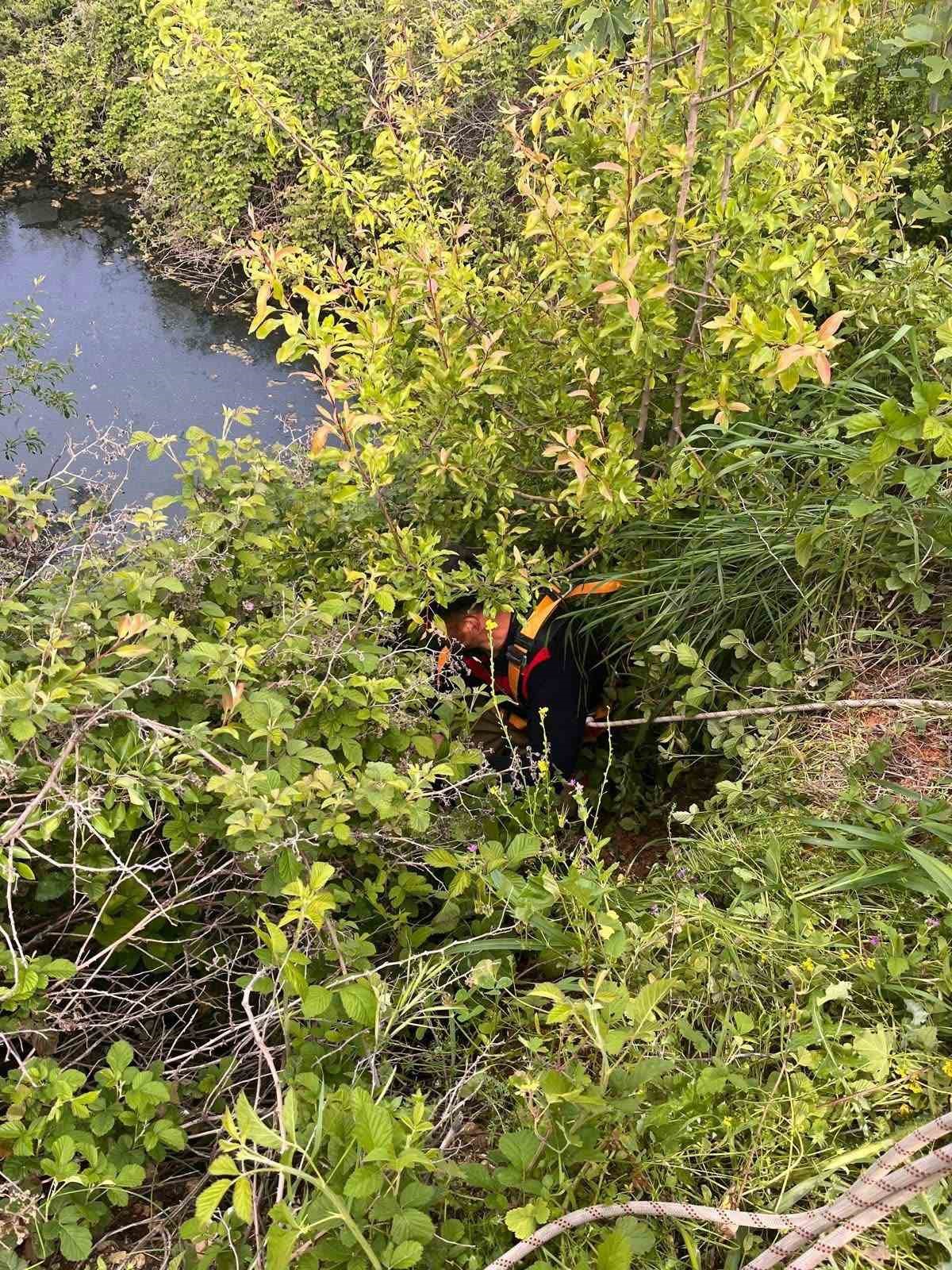 Yayladağı’nda gölete düşen büyükbaş hayvan kurtarıldı
