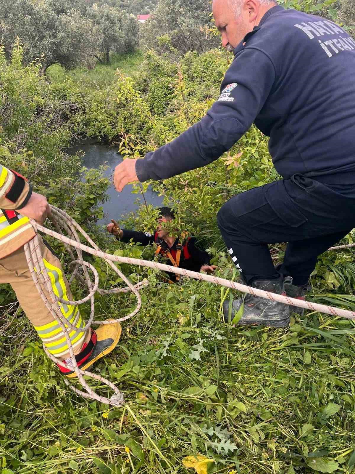 Yayladağı’nda gölete düşen büyükbaş hayvan kurtarıldı
