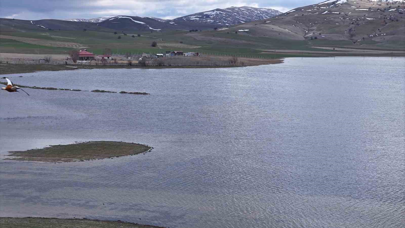 Yaz aylarında tamamen kuruyan göl, yeniden su tuttu
