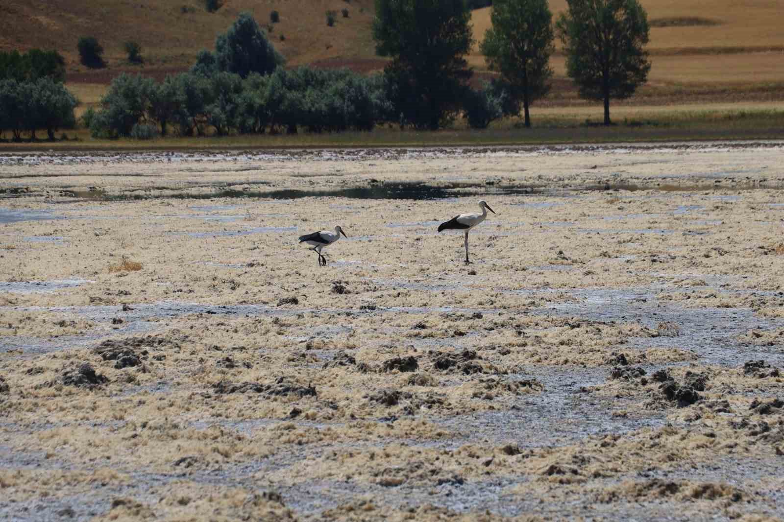 Yaz aylarında tamamen kuruyan göl, yeniden su tuttu
