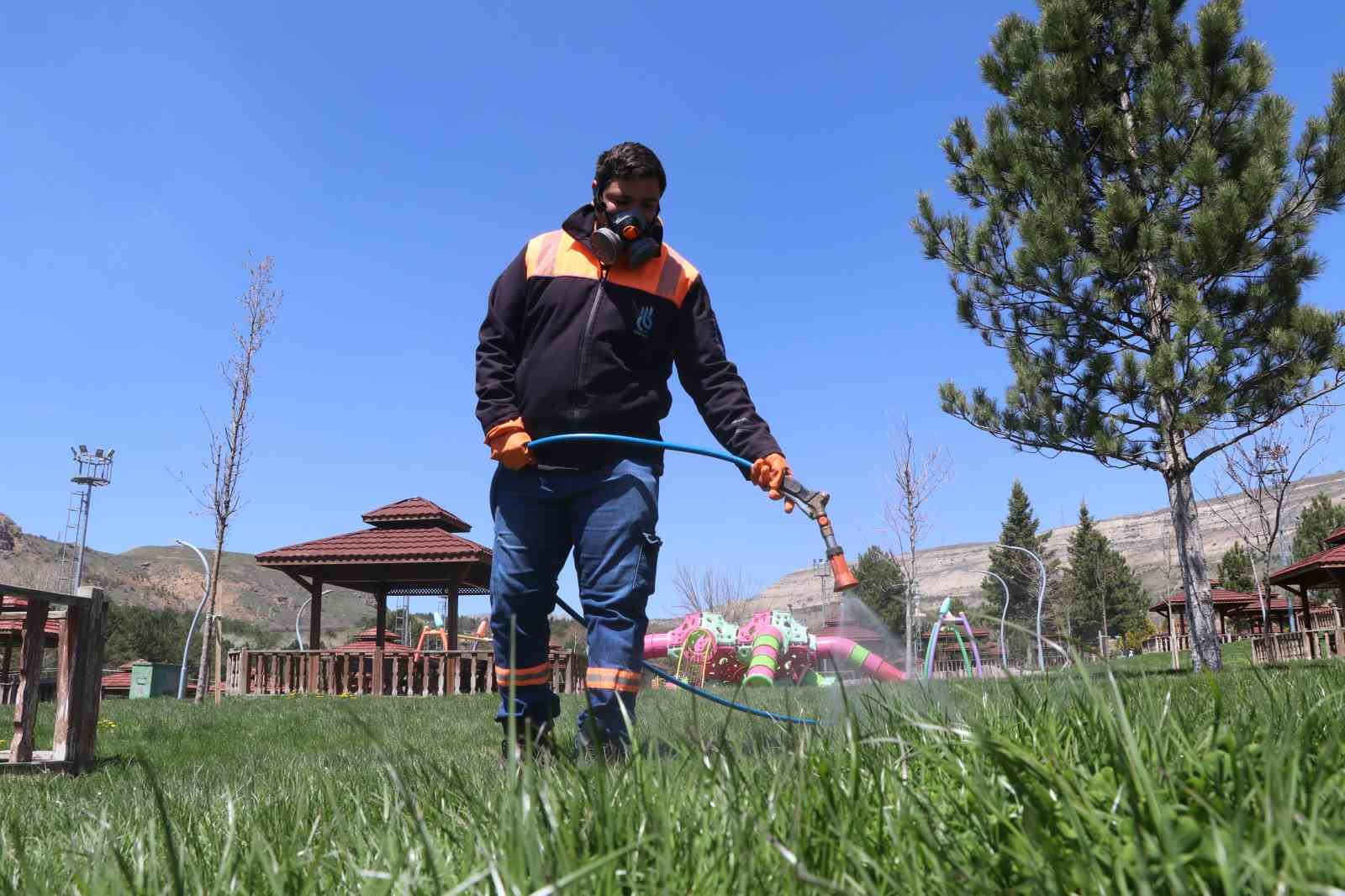 Yaz aylarının korkulu rüyası kenelere karşı hem havadan ve hem karadan mücadele başladı
