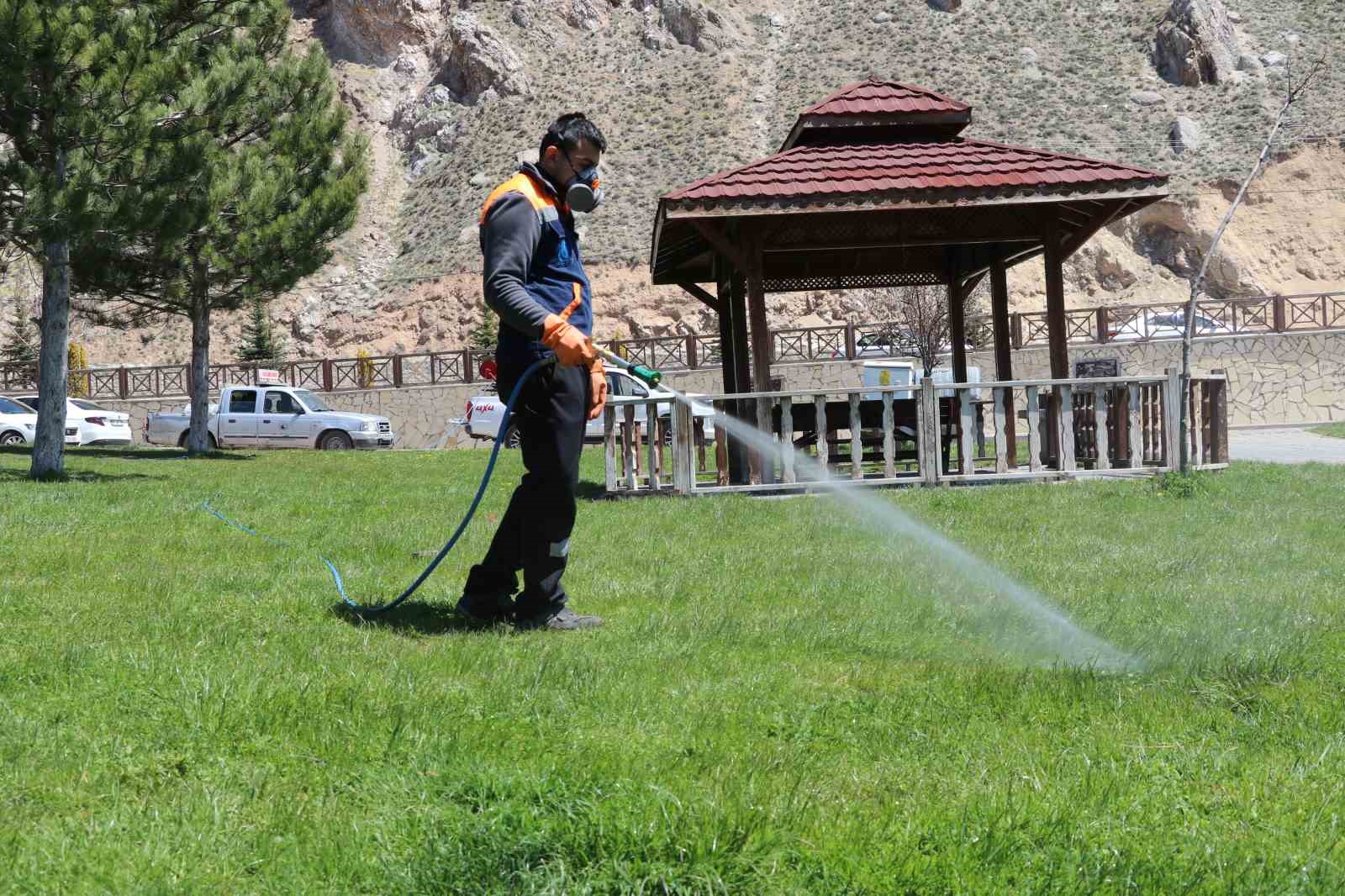 Yaz aylarının korkulu rüyası kenelere karşı hem havadan ve hem karadan mücadele başladı
