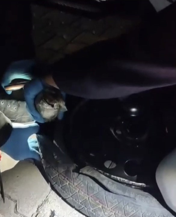 Yedek lastikten 2 kilo esrar çıktı
