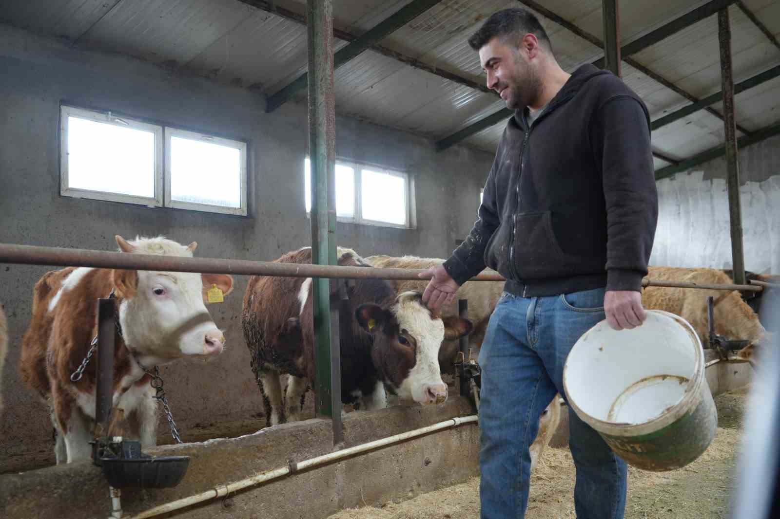 Yem desteği Bayburtlu çiftçinin yüzünü güldürdü: "Bu destek bize iyi geldi"

