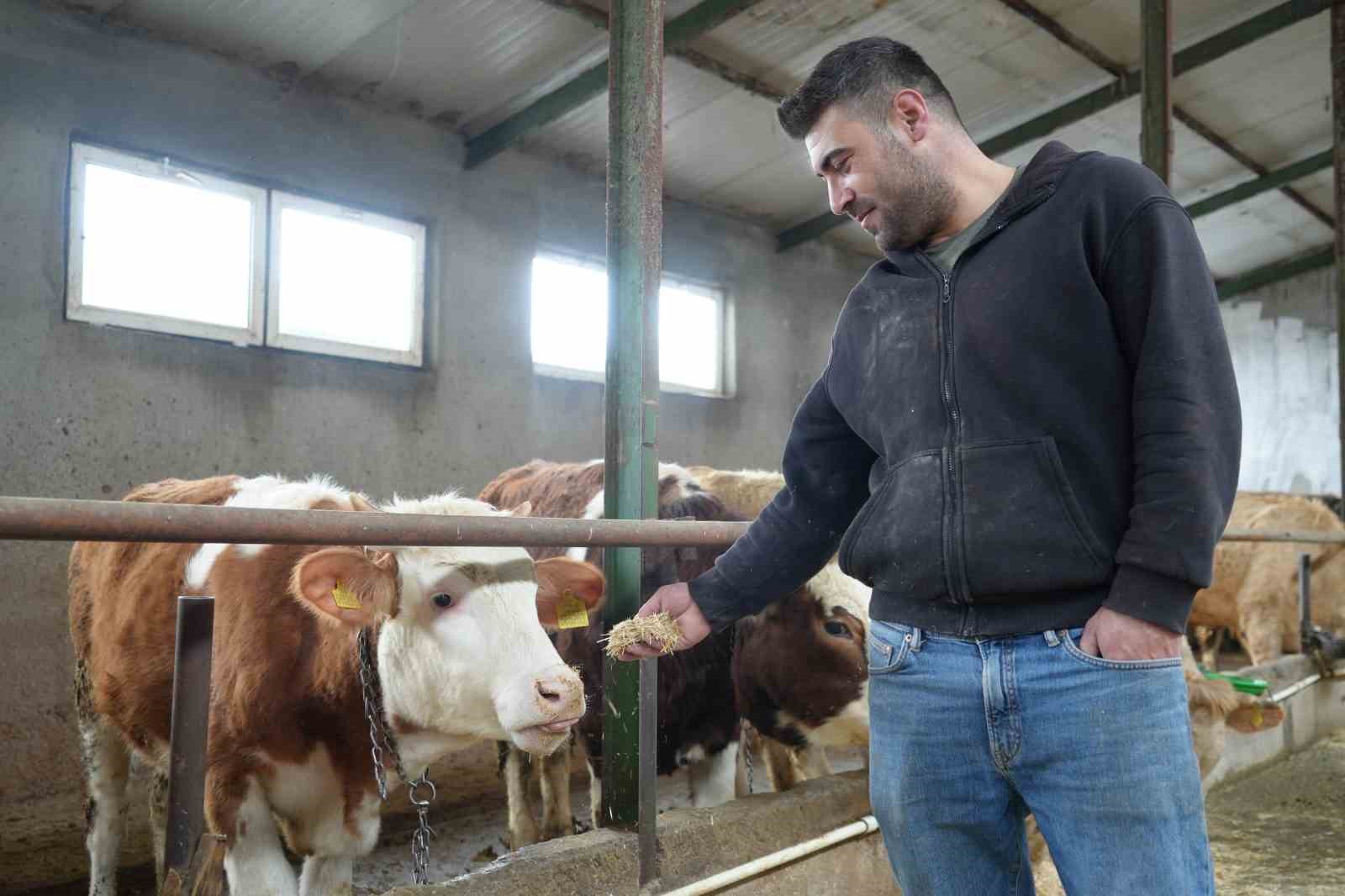 Yem desteği Bayburtlu çiftçinin yüzünü güldürdü: "Bu destek bize iyi geldi"
