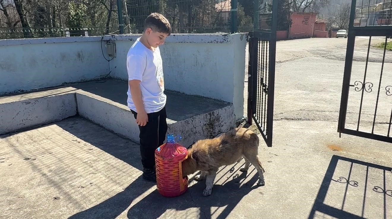 Yemek artıkları sokak hayvanları için mamaya dönüşüyor
