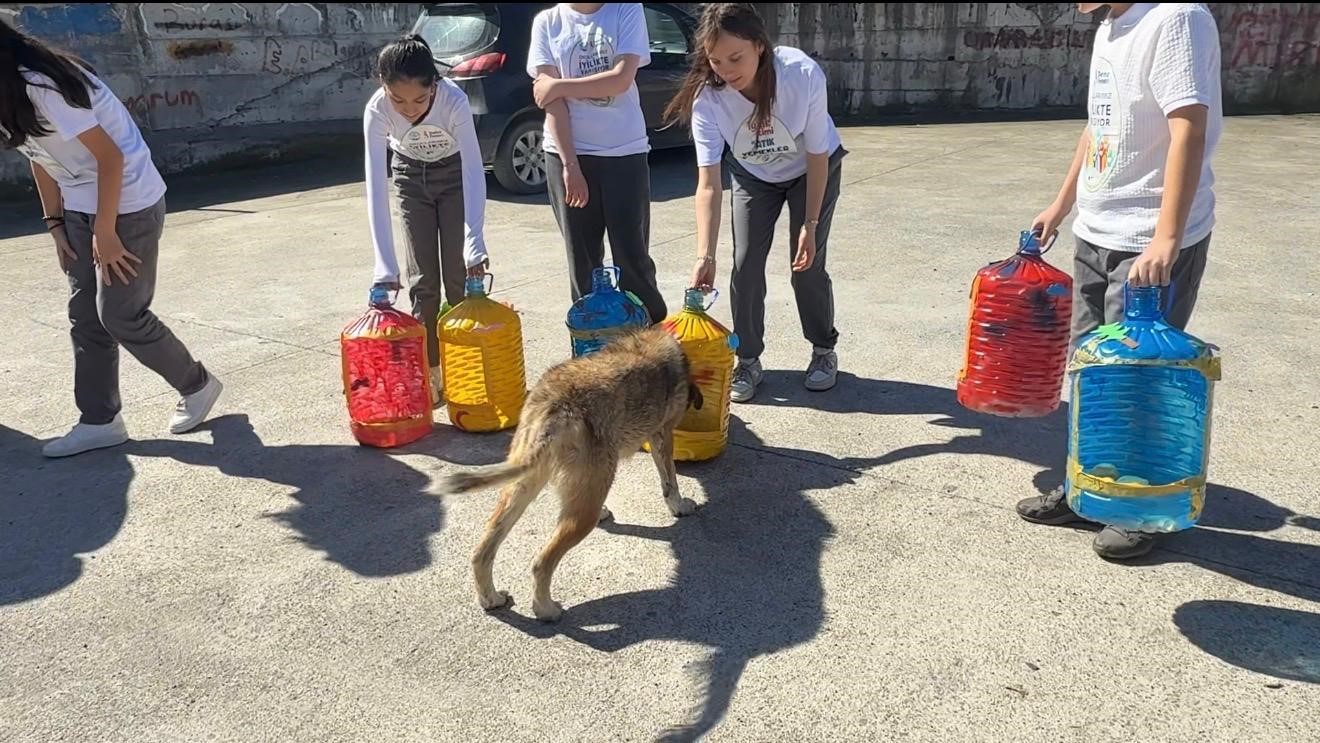 Yemek artıkları sokak hayvanları için mamaya dönüşüyor
