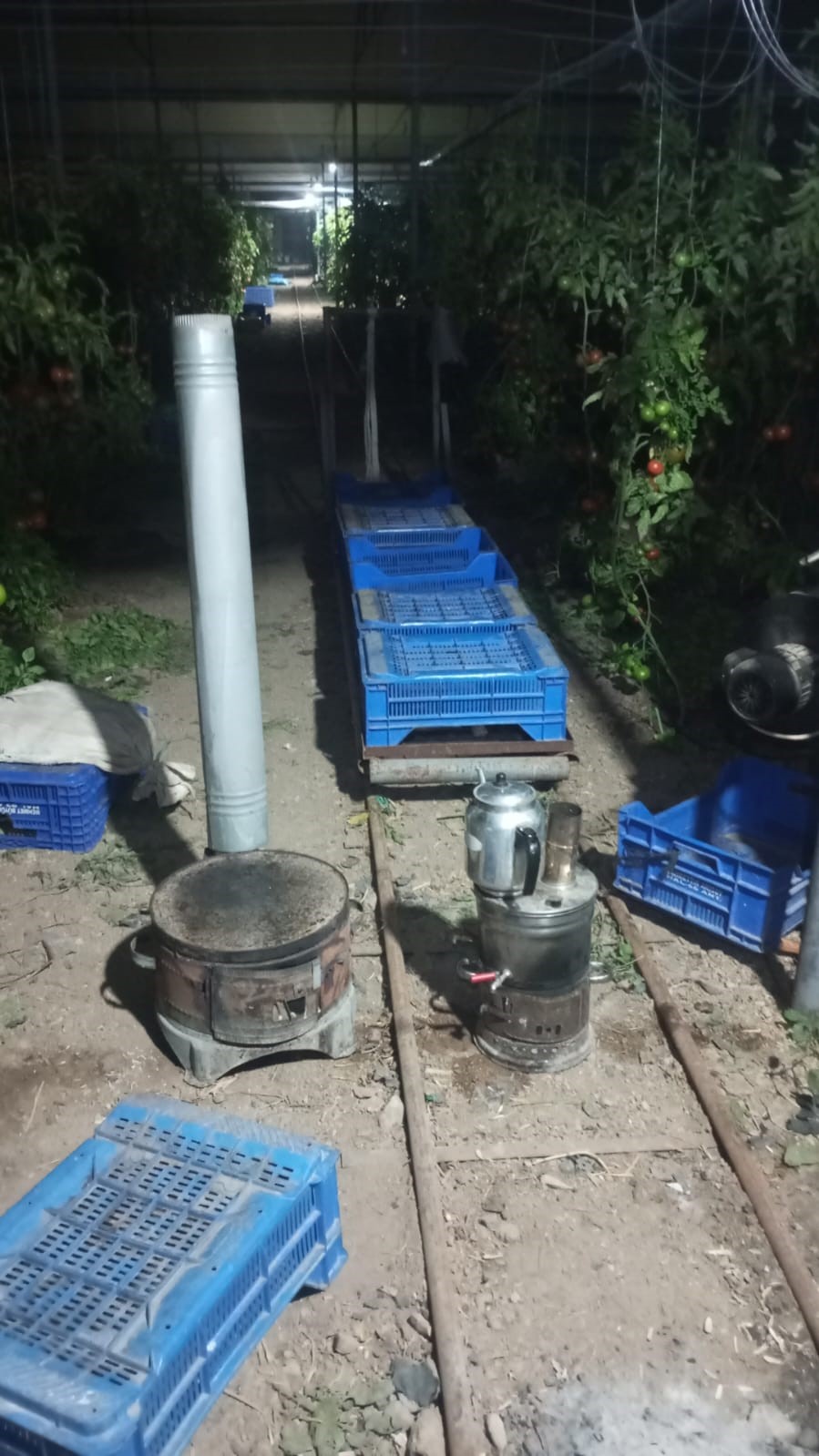 Yeni yıla ’don’ nöbetiyle girdiler
