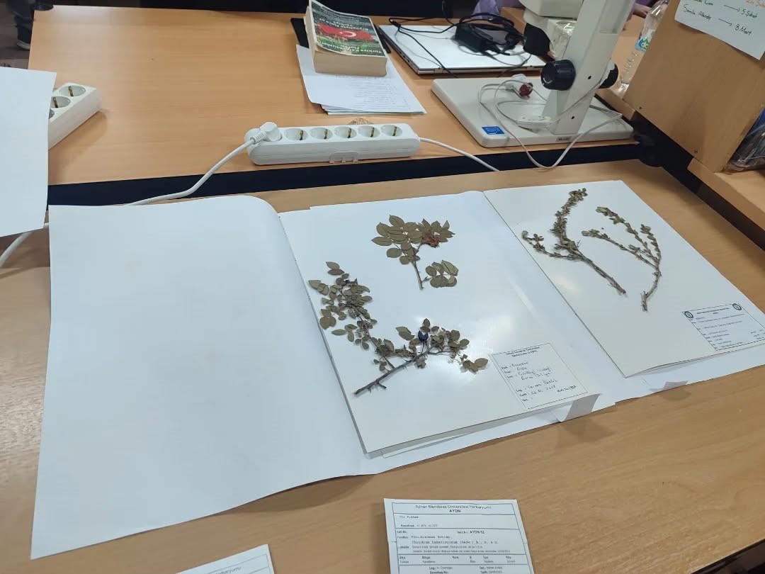 Yenipazarlı öğrenciler doğayı bilimle keşfetti
