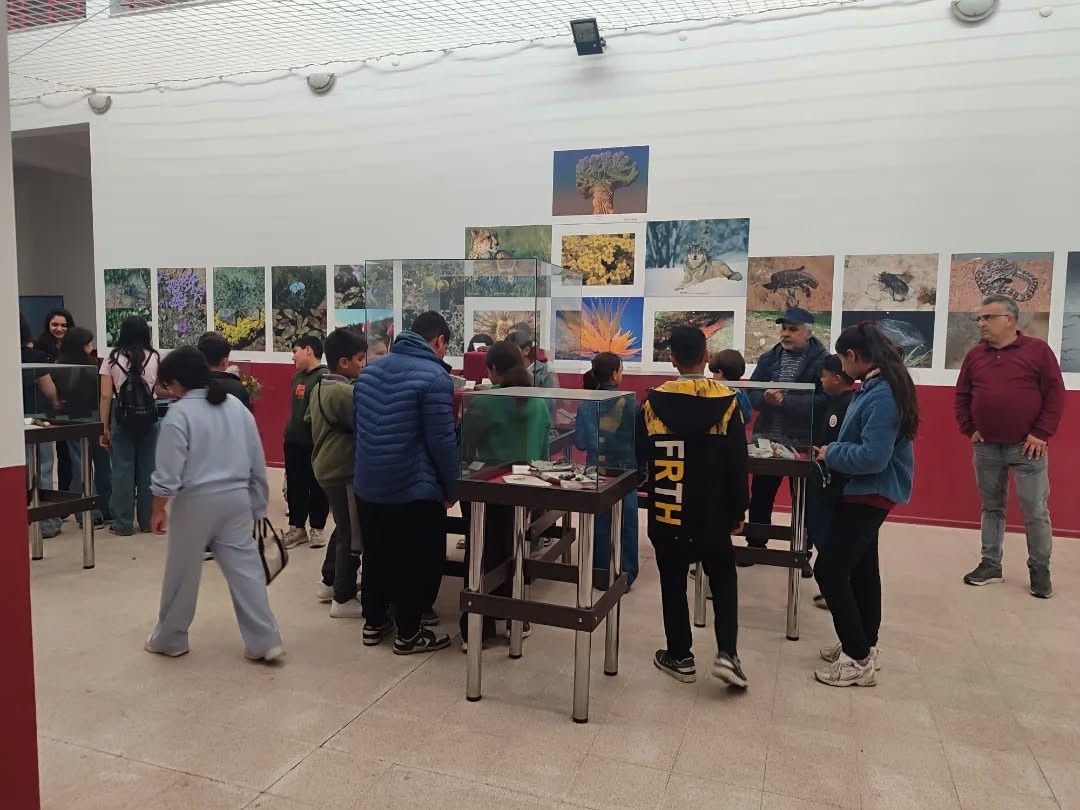 Yenipazarlı öğrenciler doğayı bilimle keşfetti
