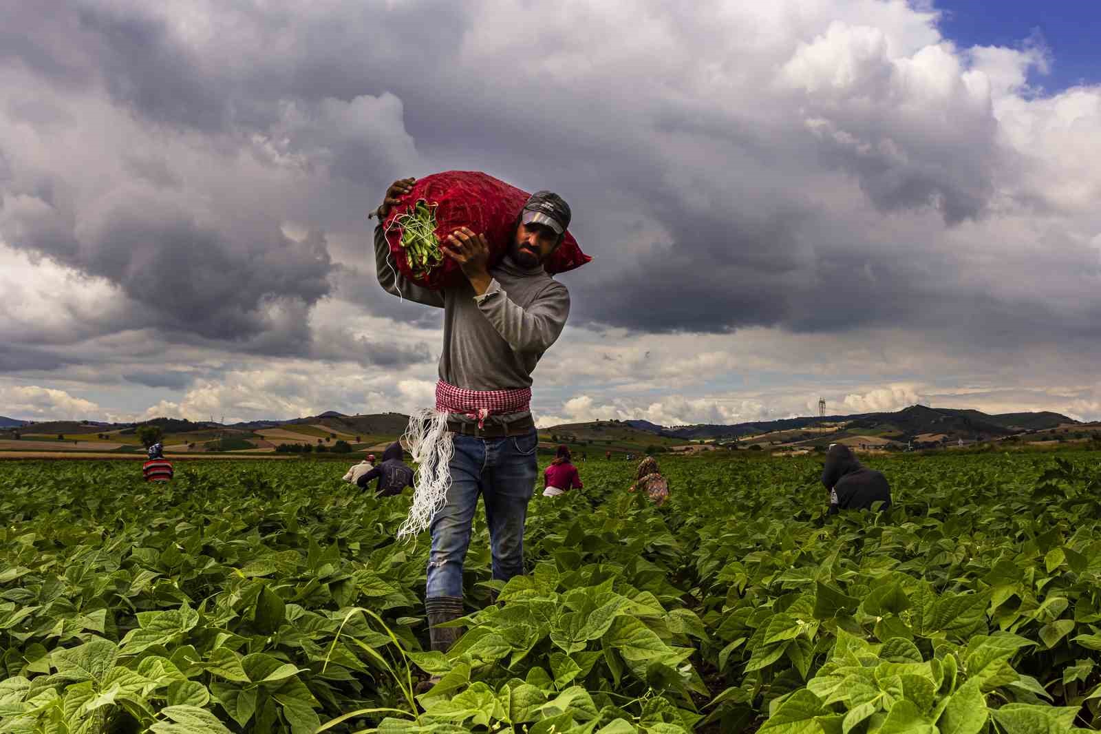 Yenişehir Belediyesi, dev bütçeli iklim projesini hayata geçiriyor
Yenişehir Belediyesi, dev bütçeli iklim projesini hayata geçiriyor