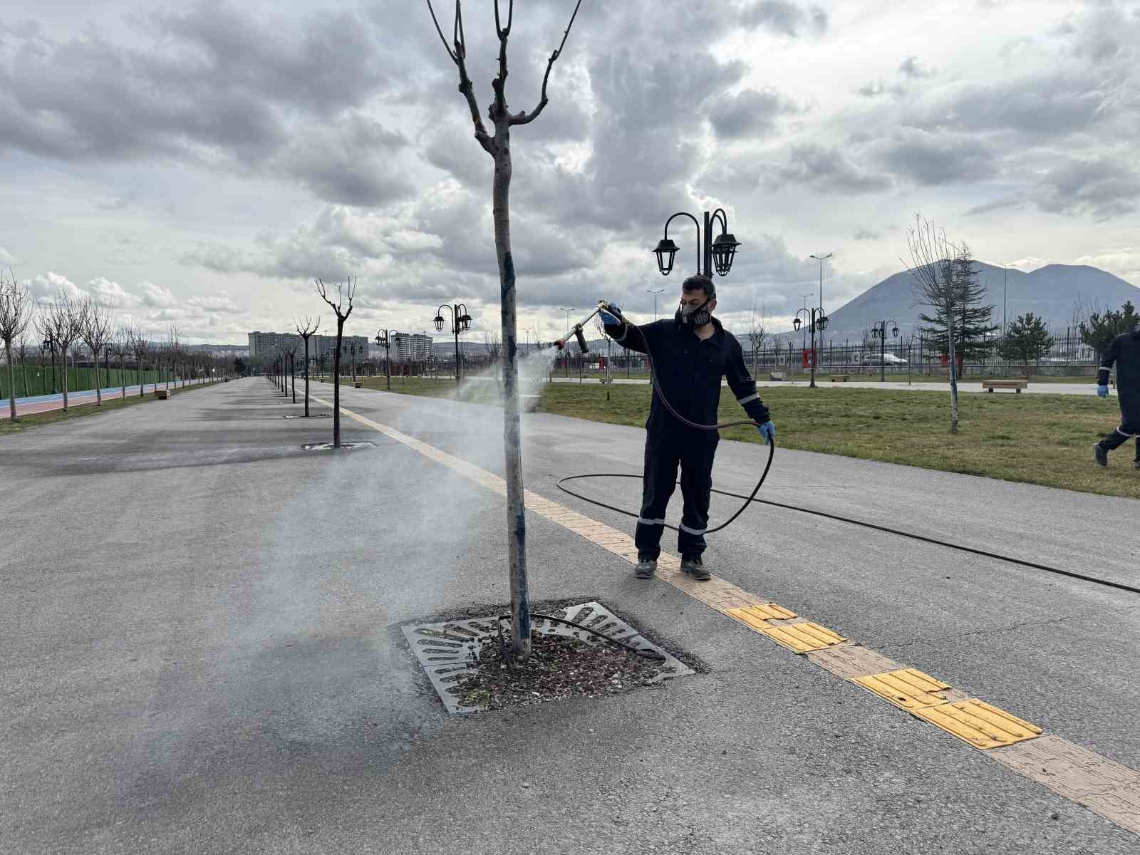 Yeşil alanlarda ilaçlama seferberliği başladı
