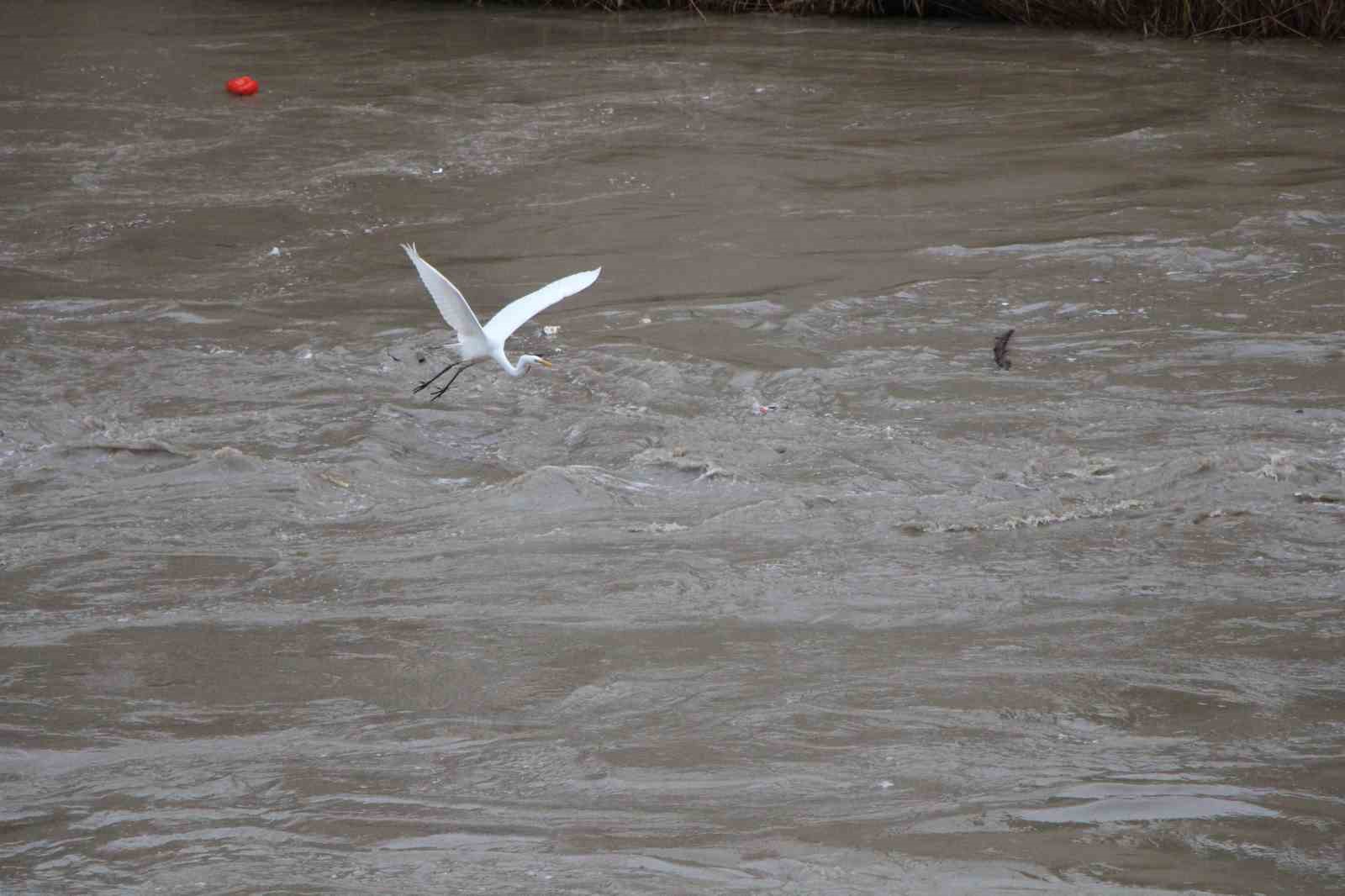 Yeşilırmak Nehri’nde su seviyesi 2 metreye kadar yükseldi, piknik masaları akıntıya kapıldı

