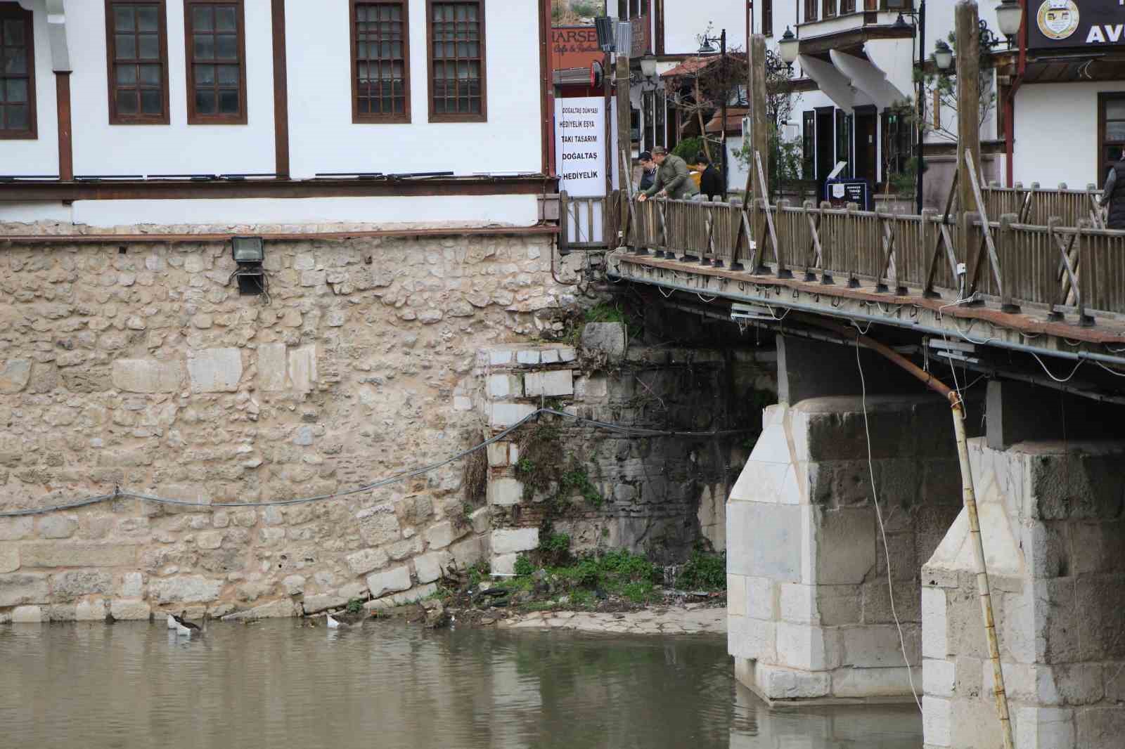 Yeşilırmak Nehri’nin maskotu kaz yavruları beslenme saatinde
