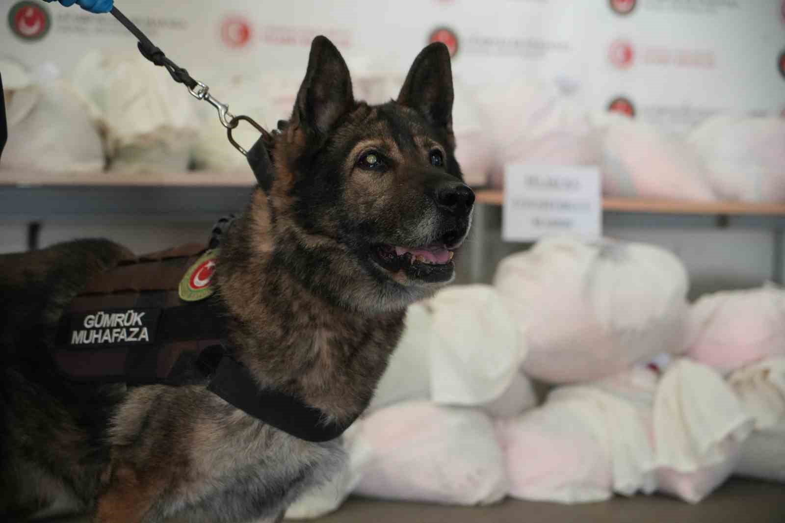 Yılbaşı öncesi Kapıkule’de dev uyuşturucu operasyonu: Yaklaşık 600 kilo zehir ele geçirildi
