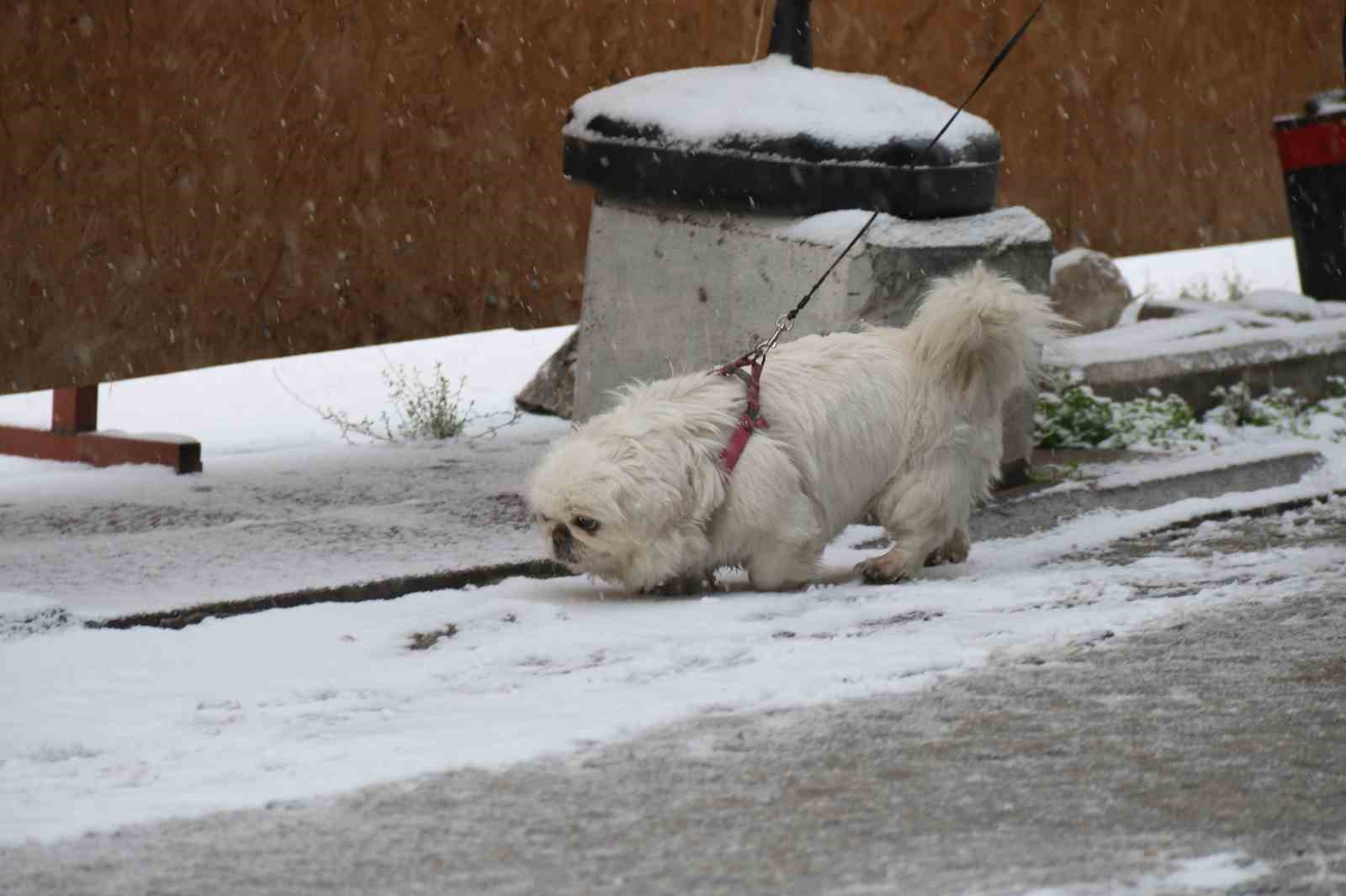 Yılın son karı Eskişehir’i beyaza bürüdü
