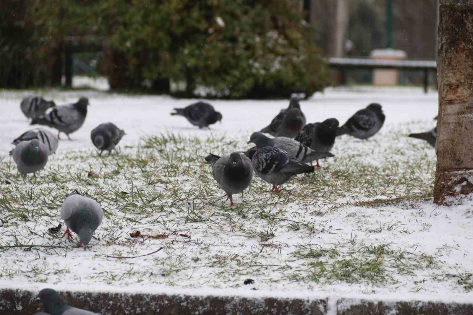 Yılın son karı Eskişehir’i beyaza bürüdü
