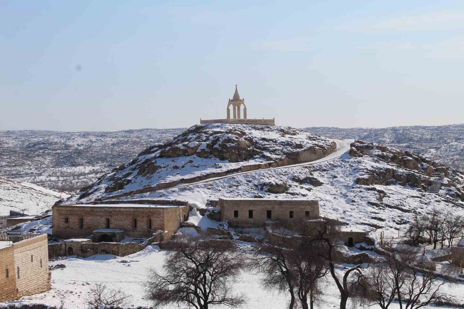 Yılkı atları fotoğrafçıların gözdesi oldu
