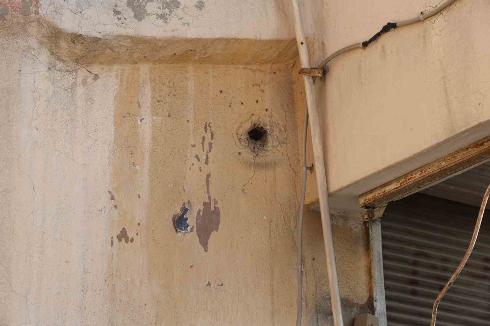 Yıllardır mahalleyi mesken tutan arıları çocukların attığı taş kızdırdı
