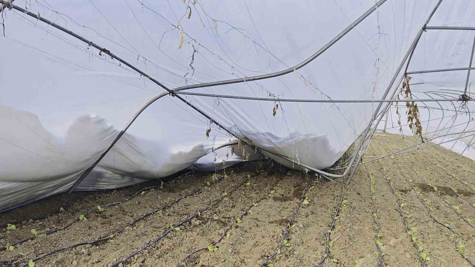 Yoğun kar çok sayıda serayı yıktı
