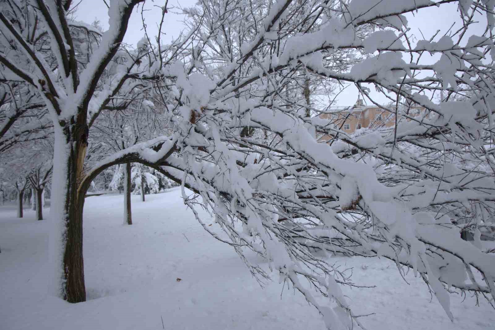 Yoğun kar yağışı Harput’ta çok sayıda ağacın dallarını kırdı
