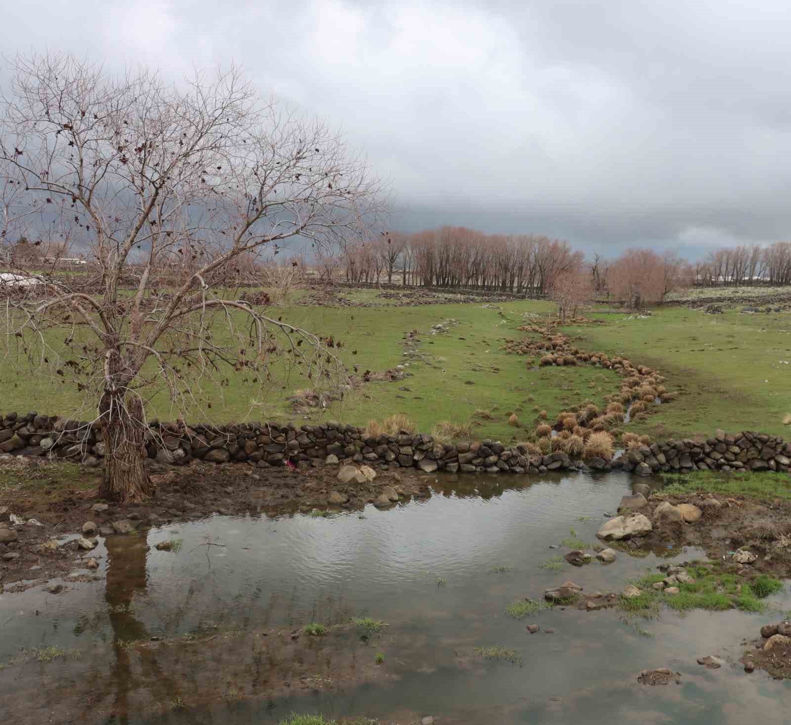 Yoğun yağışlar çiftçinin yüzünü güldürdü
