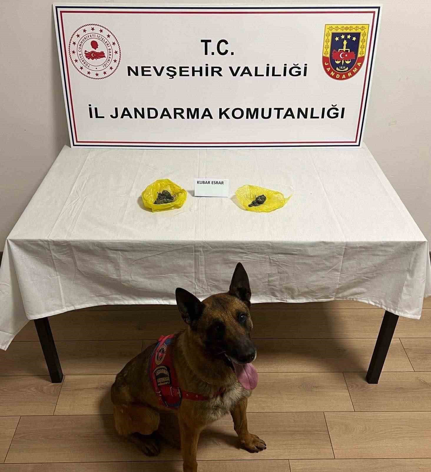 Yol kontrolünde uyuşturucu yakalandı
