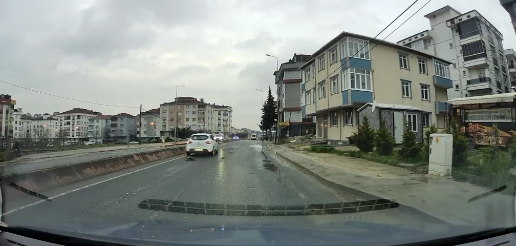 Yoldan geçerken arabanın altında kalan kedi koşarak kaçtı: O anlar araç kamerasına saniye saniye yansıdı
