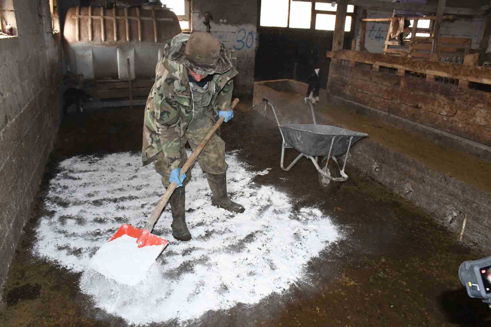 Yozgatlı keçi yetiştiricisi kireçli yöntemle hayvan kayıplarını önledi
