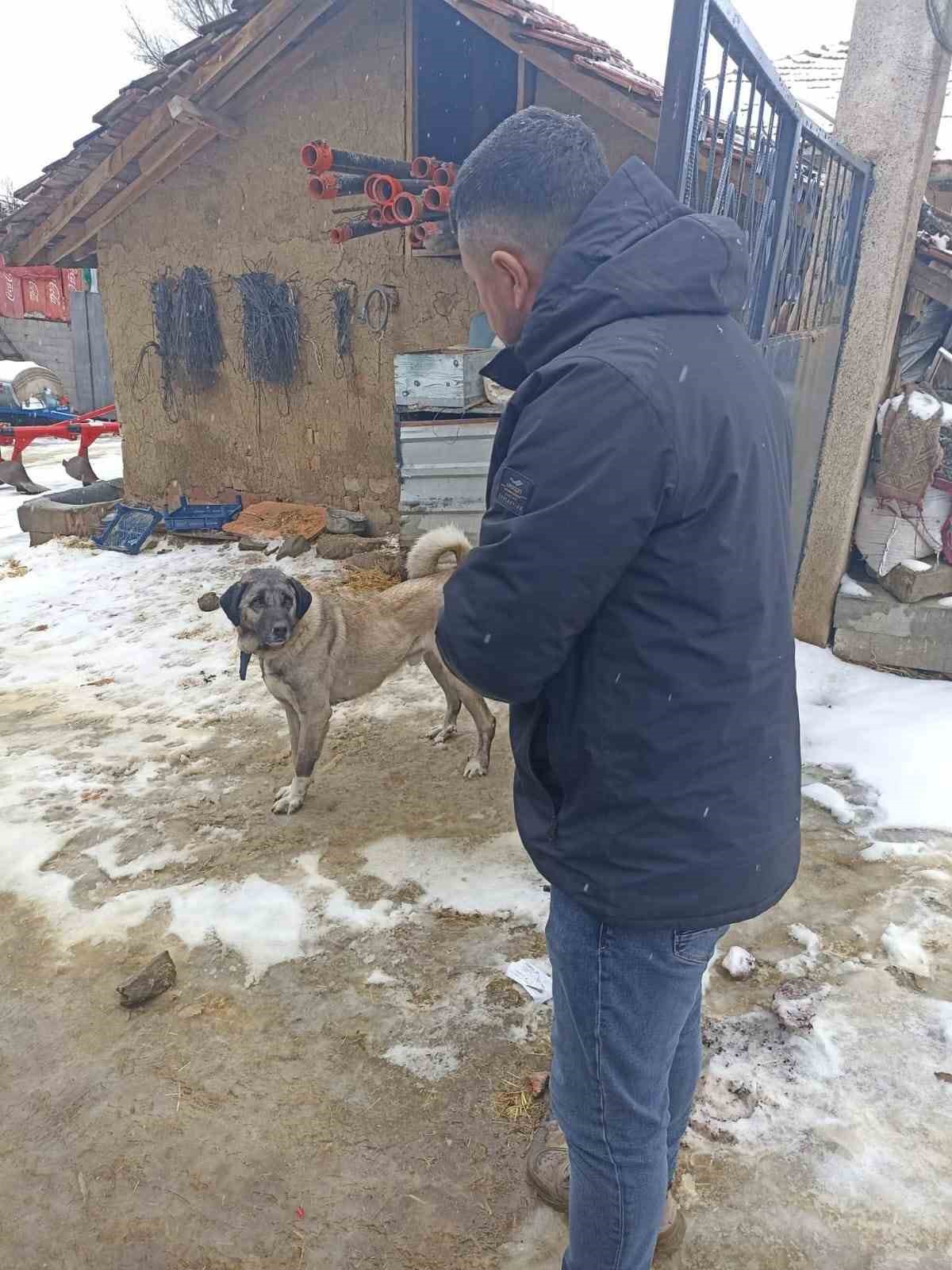 Yozgat’ta 2025 yılında 7 bin 548 sahipli hayvana mikroçip uygulandı
