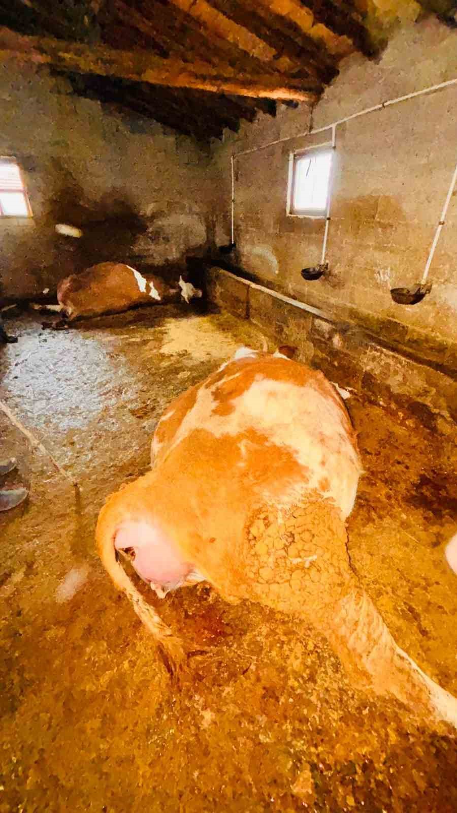 Yozgat’ta ahırlara yıldırım düştü, hayvanlar telef oldu
