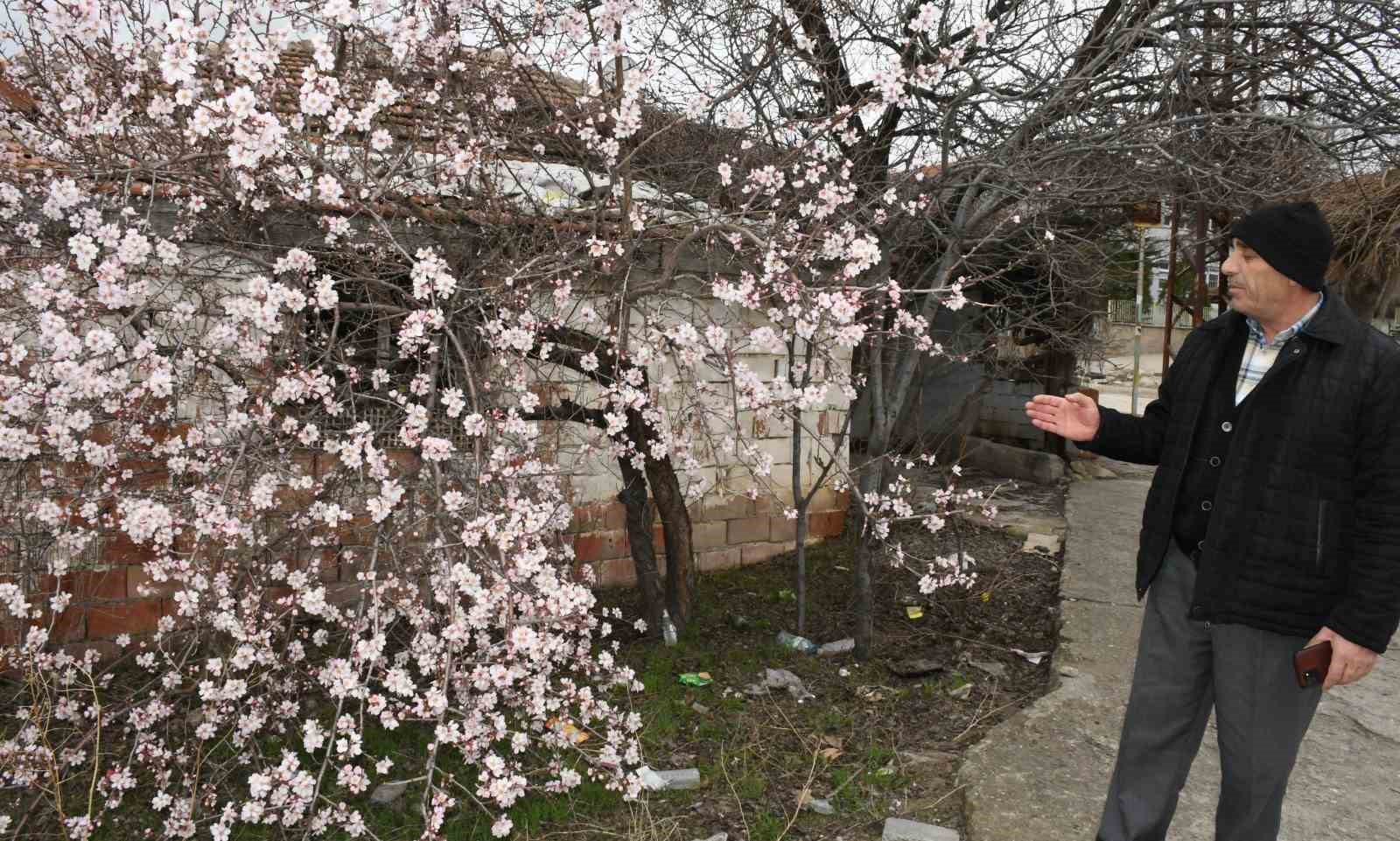 Yozgat’ta mart ayında bahar tablosu
