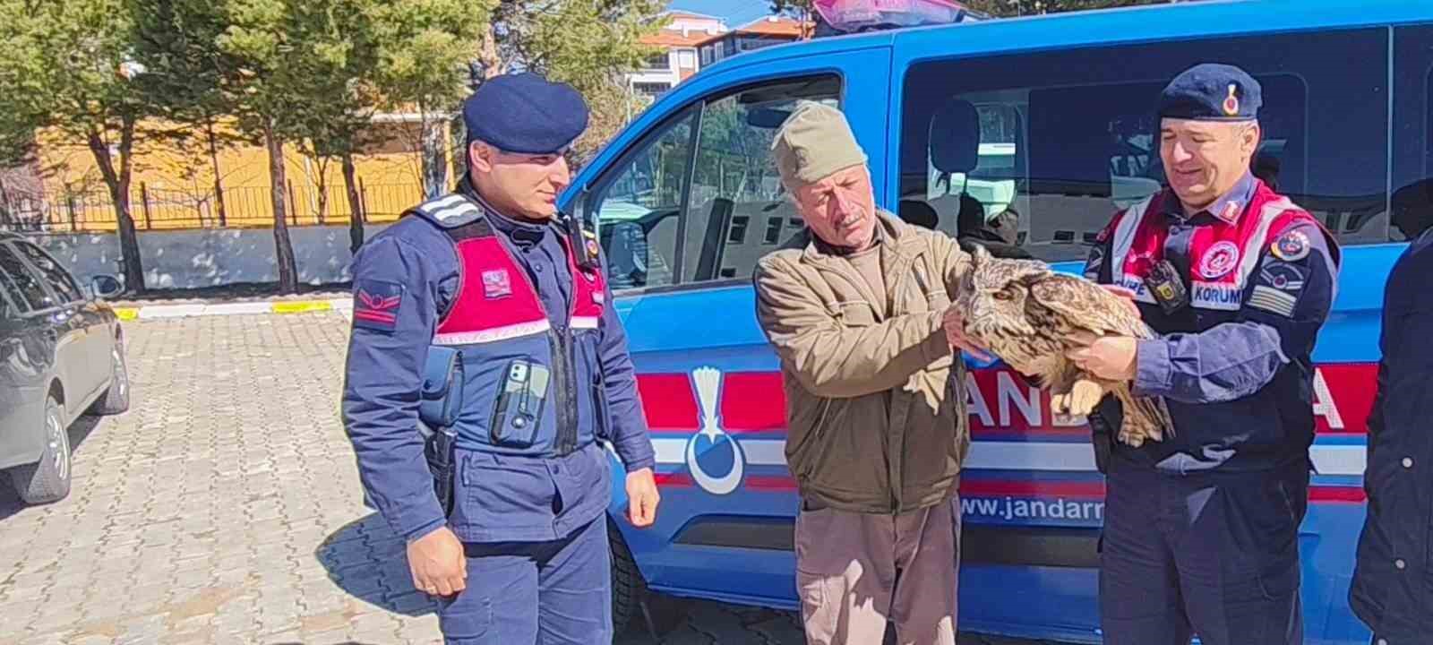 Yozgat’ta yaralı puhu kurtarıldı
