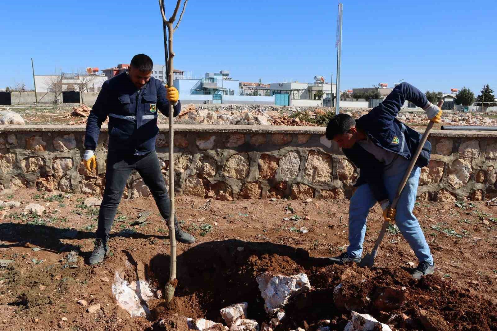 Yukarıgöklü Kent Parkı yeşile bürünüyor
