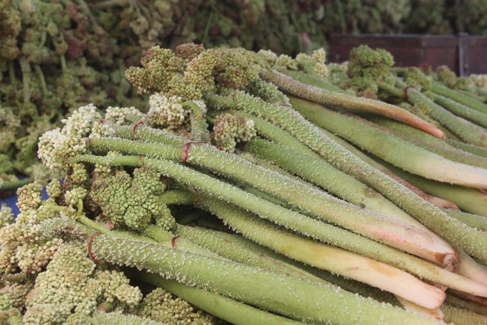 Yüksek rakımın lezzeti tezgâhlarda
