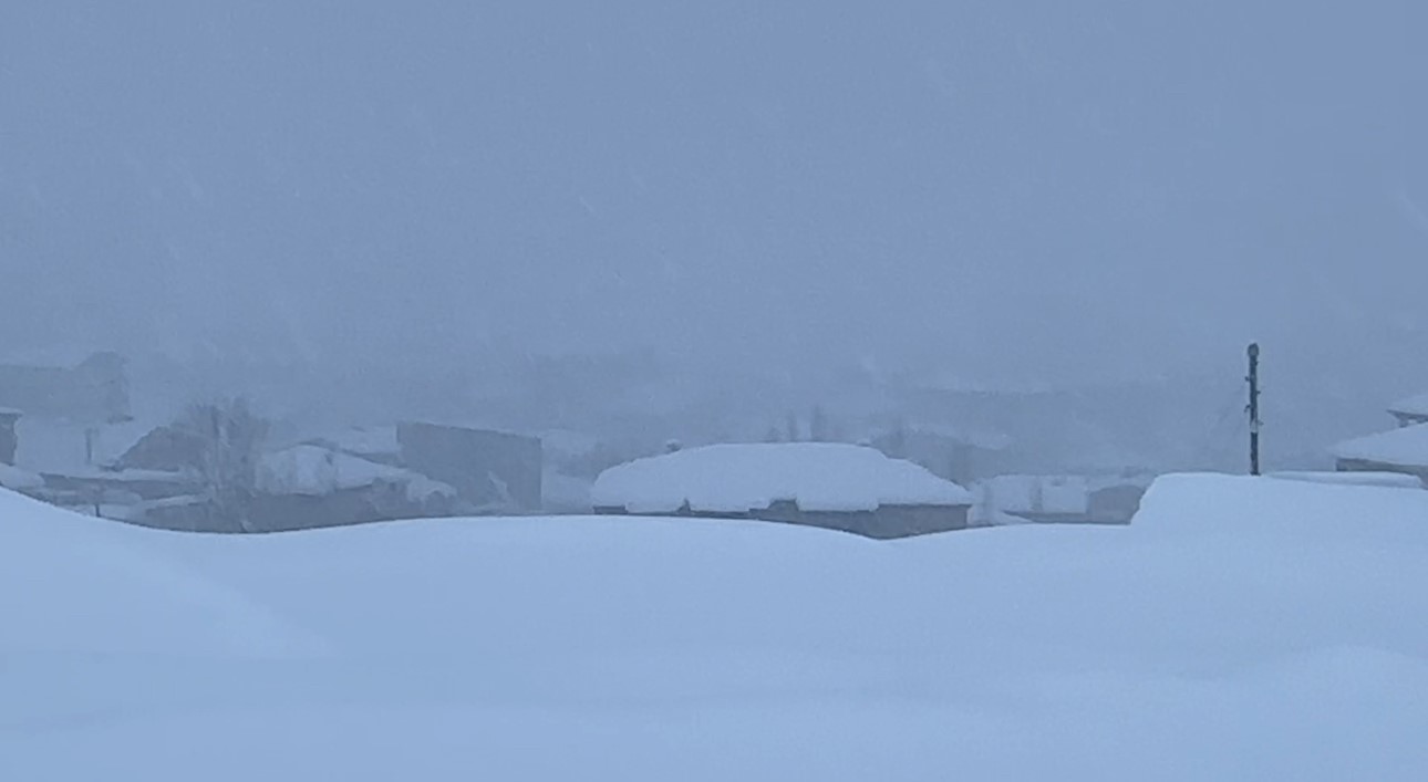Yüksekova kara gömüldü: Kar kalınlığı yarım metreyi geçti
