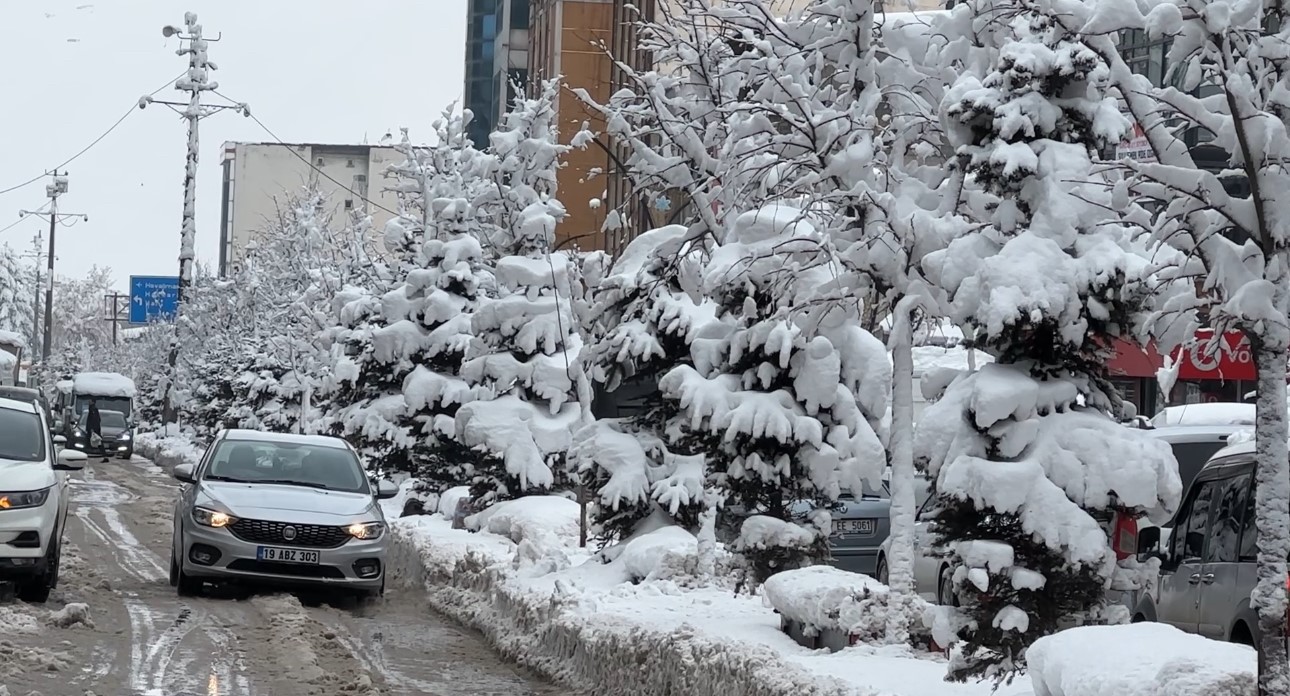 Yüksekova kara gömüldü
