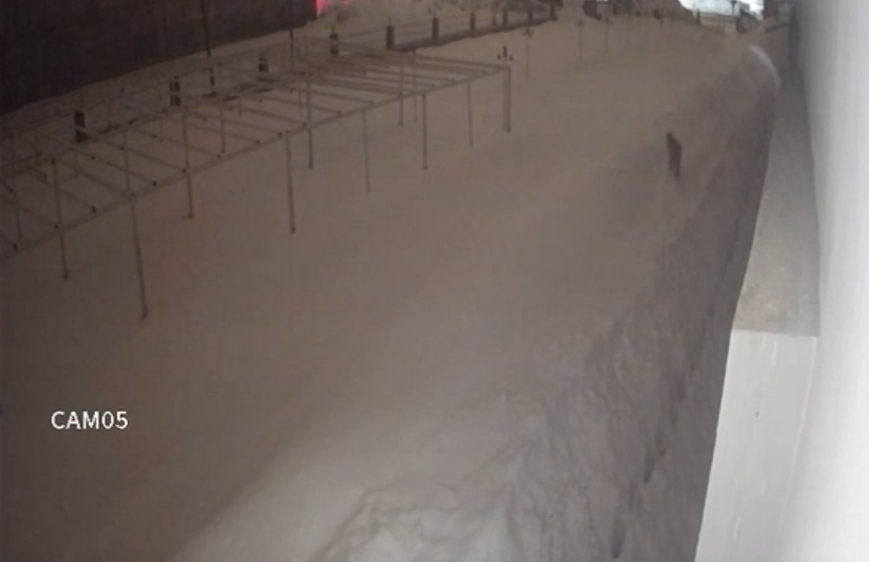 Yüksekova şehir merkezinde vaşak görüntülendi
