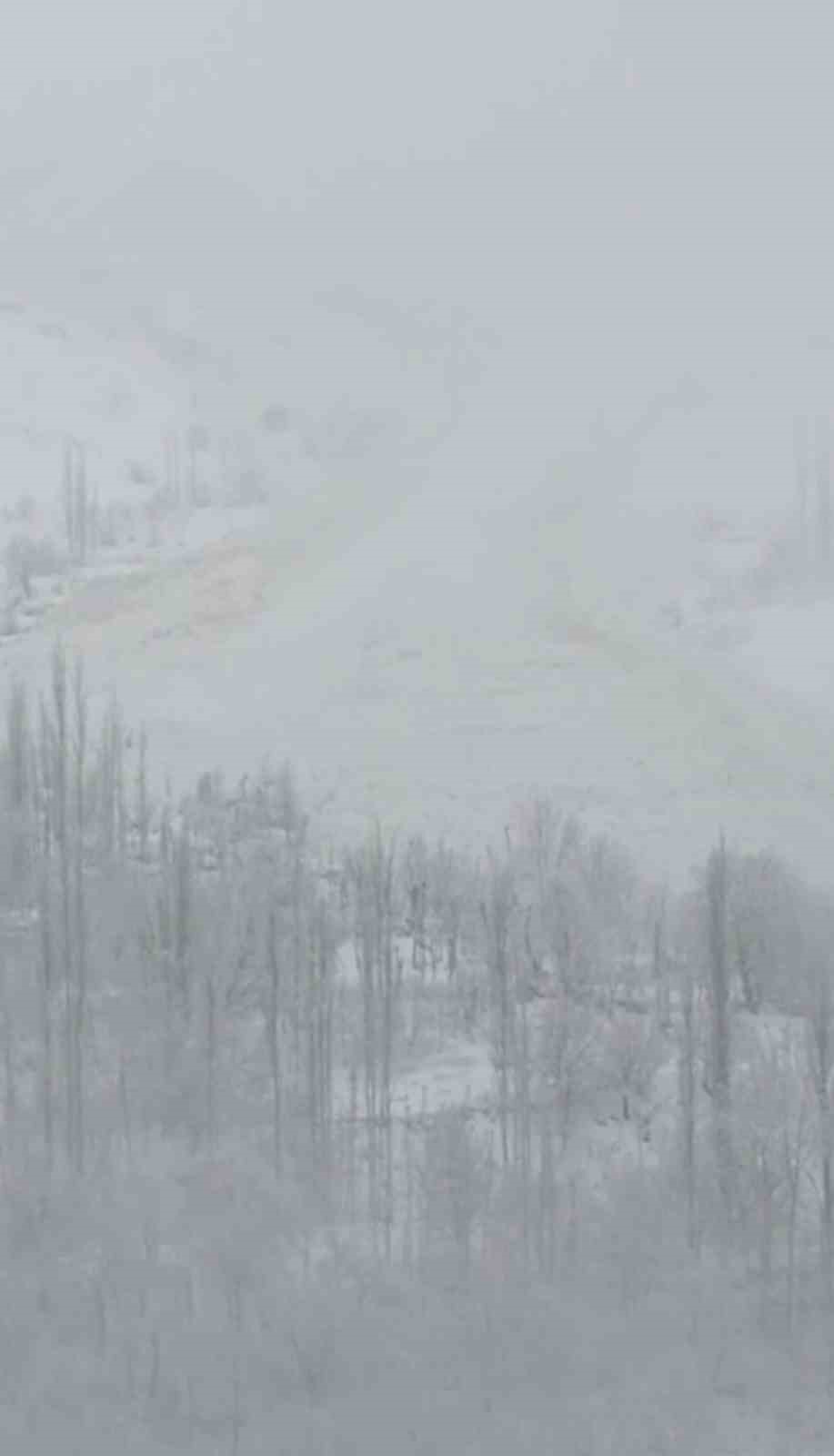 Yüksekova’da aynı bölgede ikinci çığ
