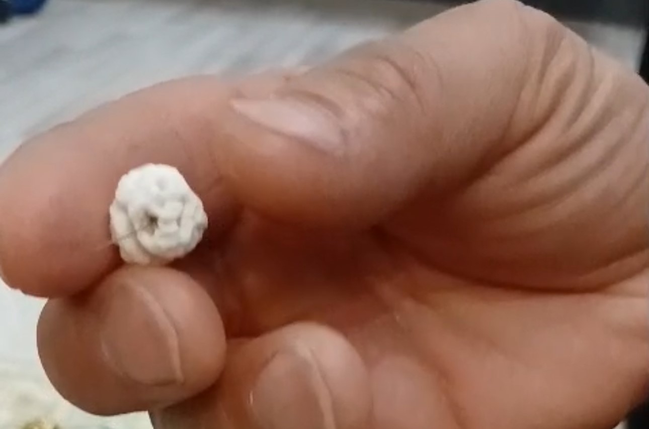 Yüksekova’da bir aileyi hayrete düşüren olay
