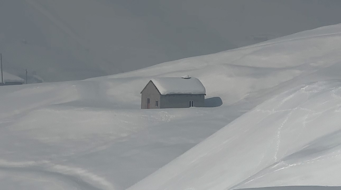 Yüksekova’da çiftçilere "kurt saldırısı" uyarısı
