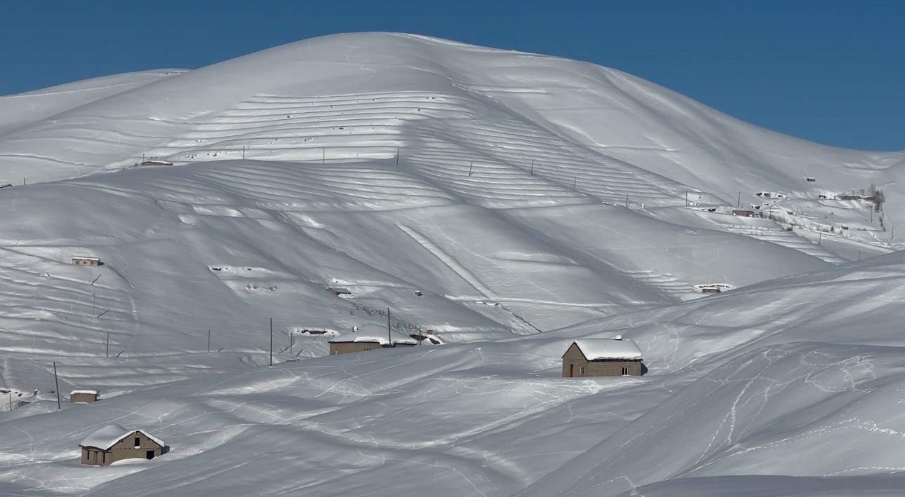 Yüksekova’da çiftçilere "kurt saldırısı" uyarısı

