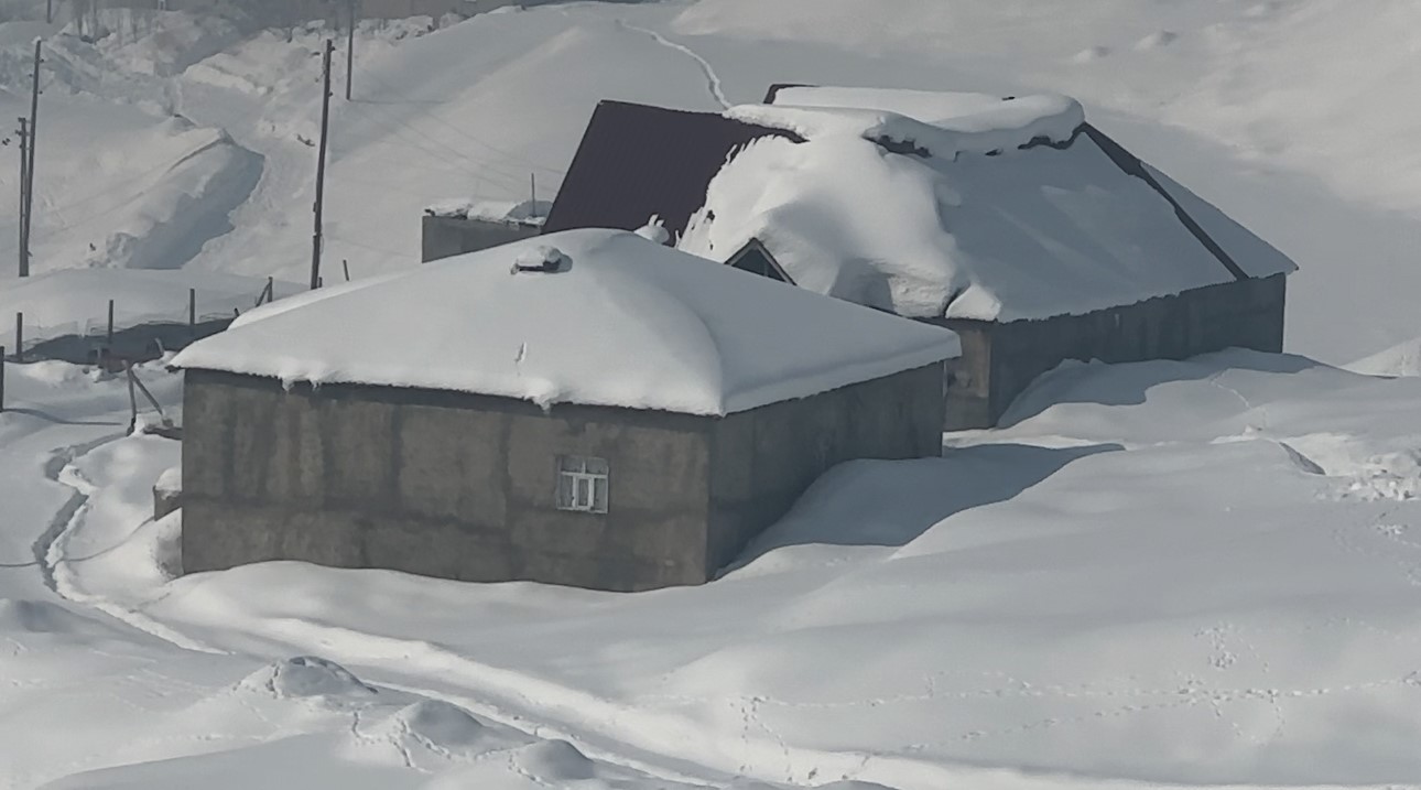 Yüksekova’da çiftçilere "kurt saldırısı" uyarısı
