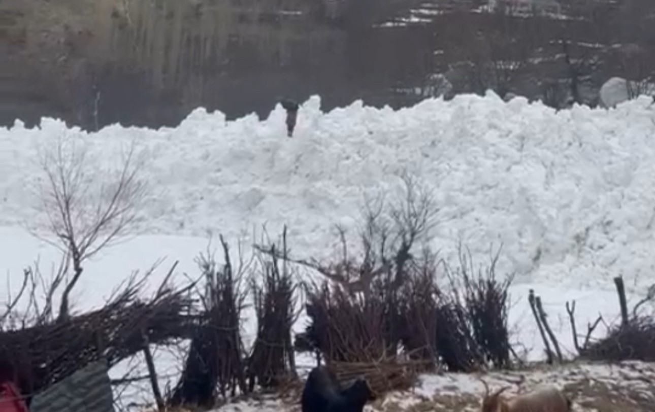 Yüksekova’da çığ paniği: Köy halkı faciadan döndü
