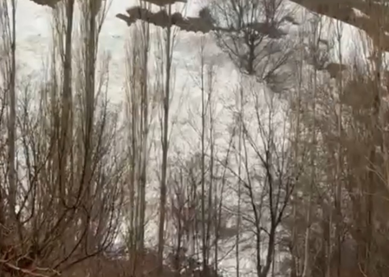 Yüksekova’da çığ paniği: Köy halkı faciadan döndü
