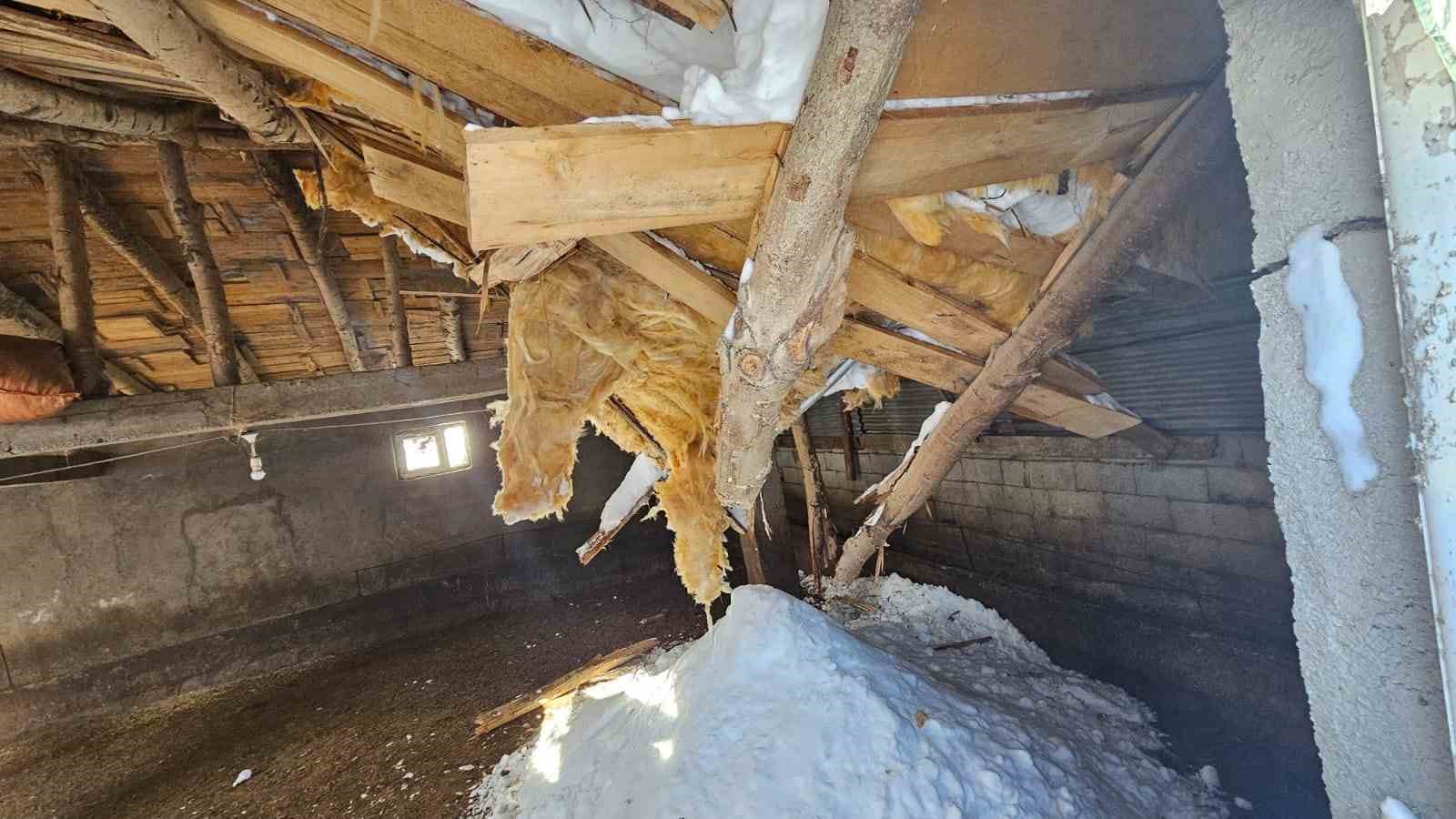 Yüksekova’da çığ yaraları sarılıyor:
