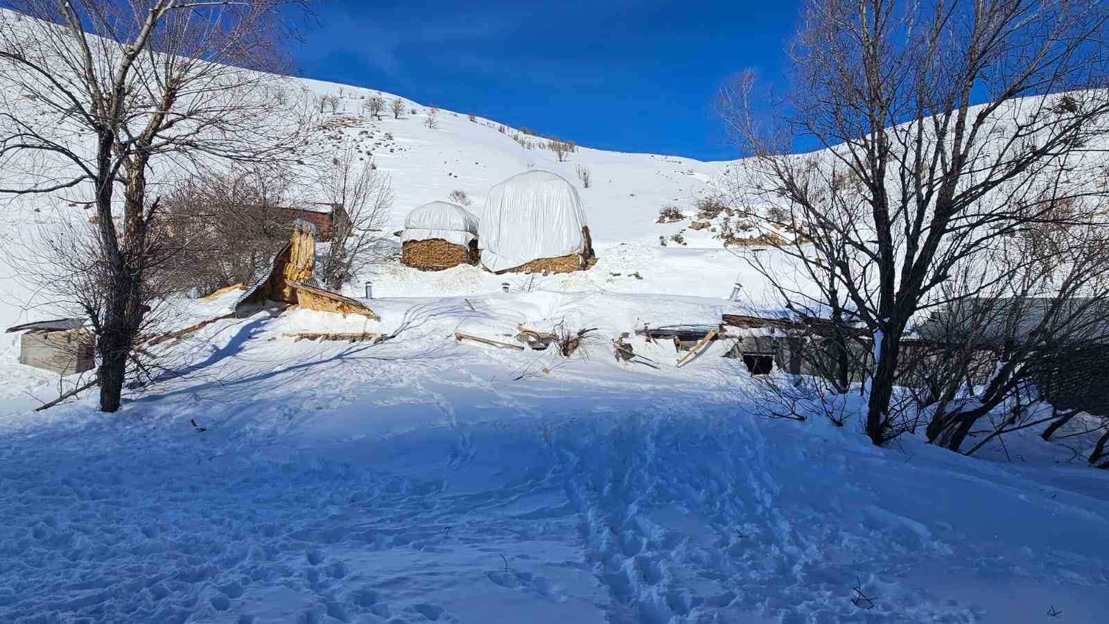 Yüksekova’da çığ yaraları sarılıyor:
