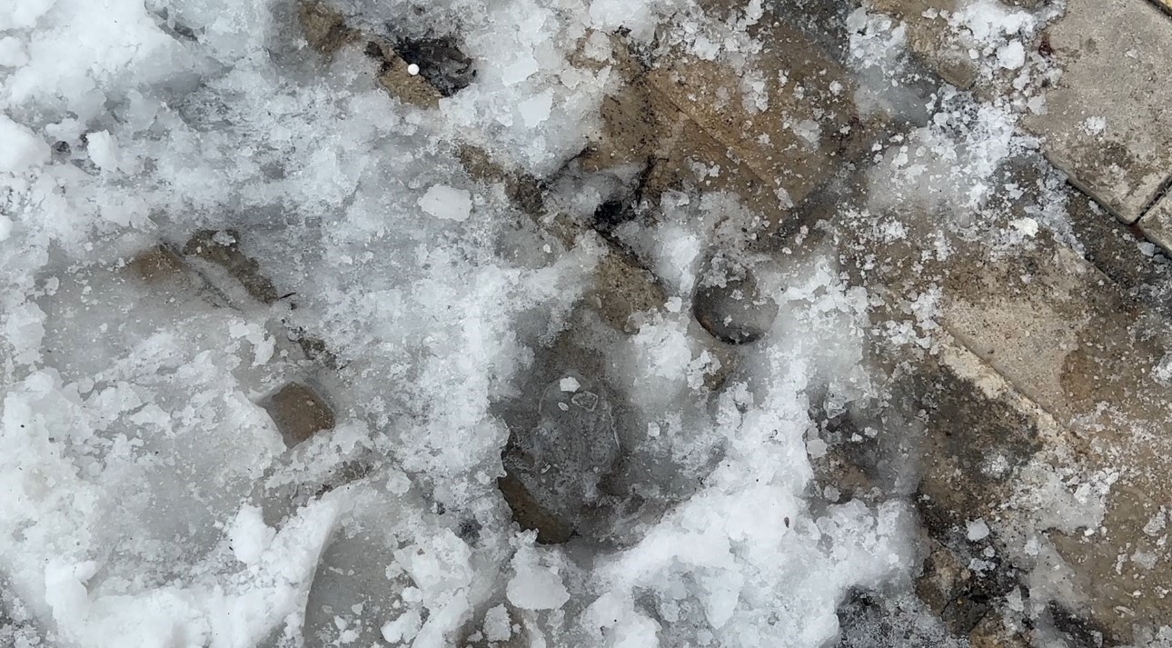 Yüksekova’da dondurucu soğuklar: Araçlar ve çatılar buz tuttu
