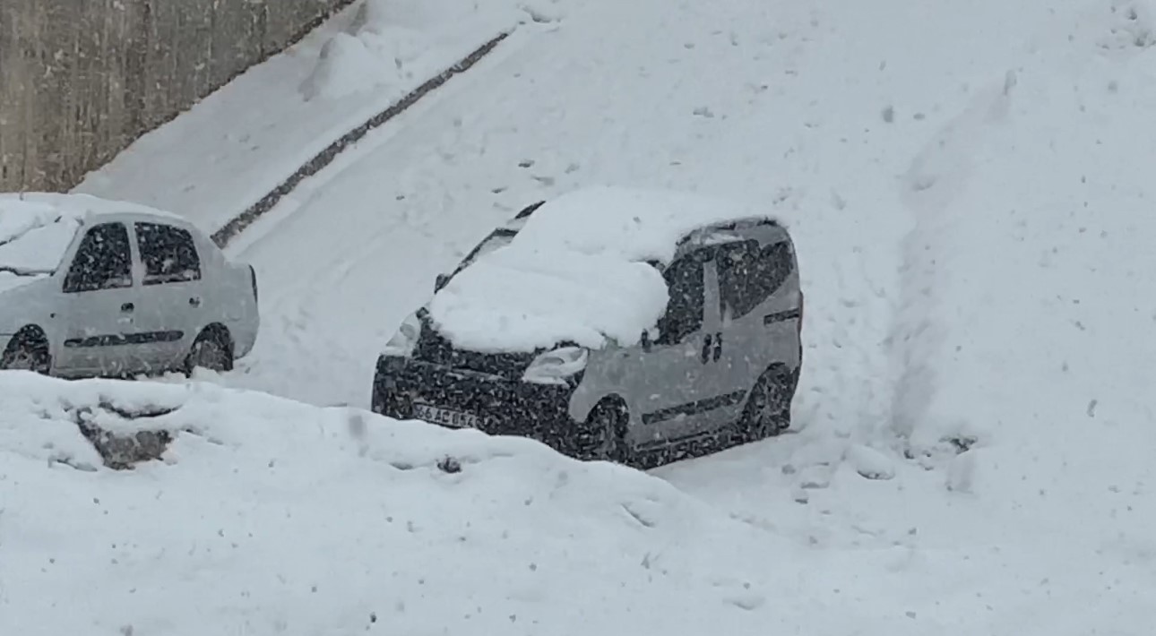 Yüksekova’da iki gün içinde mevsim değişti
