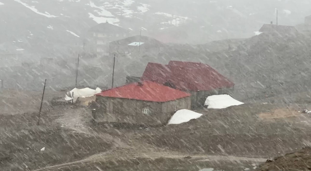 Yüksekova’da kar ve sis etkili oldu: Görüş mesafesi 20 metreye düştü
